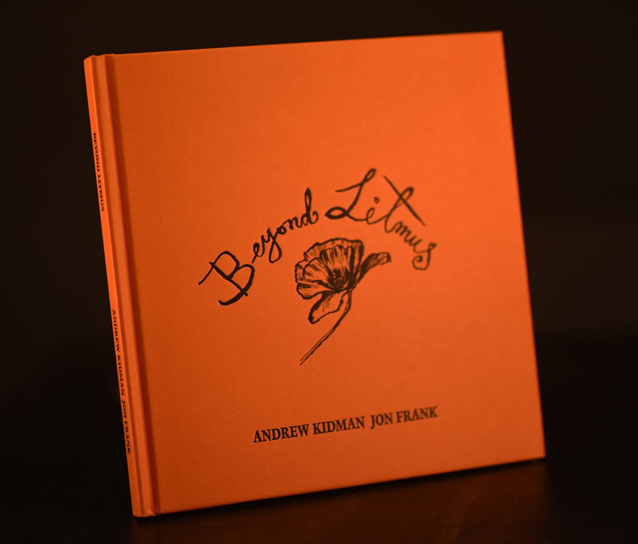 Beyond Litmus By Jon Frank and Andrew Kidman